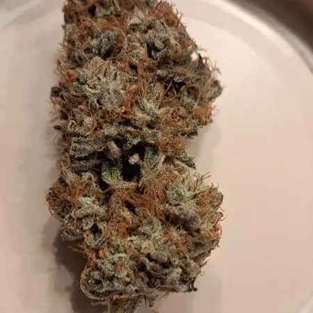 Blue Cheese clone