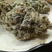 Frozen cherry runtz - Growers Choice