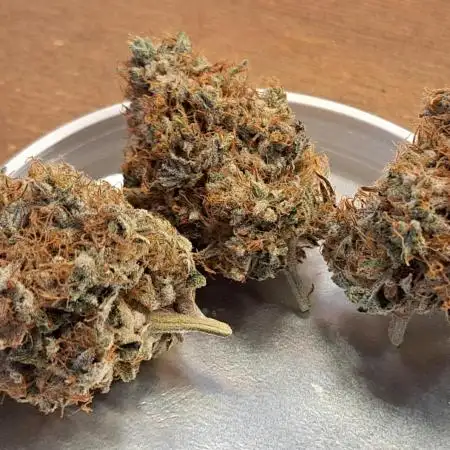 Mimosa Orange Punch clone