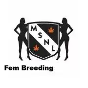 The Garden 2026-1A - MSNL Fem Breeding