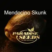 The Garden 2027-1 - Mendocino Skunk