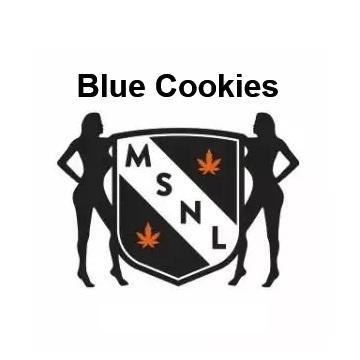 The Garden 2026-2 - MSNL Blue Cookies