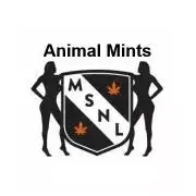 The Garden 2026-1 -- MSNL Animal Mints