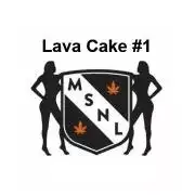 The Garden 2027-1 - MSNL Lava Cake #1