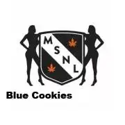 The Garden 2026-2 - MSNL Blue Cookies