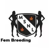 The Garden 2026-1A - MSNL Fem Breeding