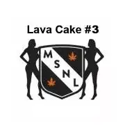 The Garden 2027-1 - Lava Cake #3