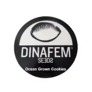 The Garden 2021 - Dinafem OG Cookies