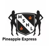 Garden 2026-2 - MSNL Pineapple Express