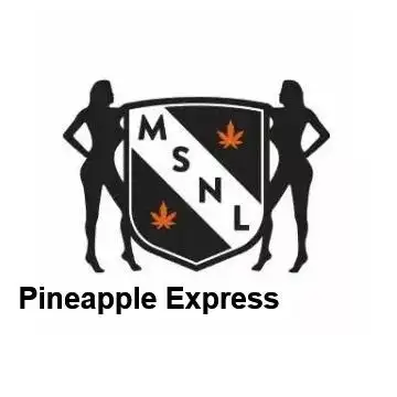 Garden 2026-2 - MSNL Pineapple Express