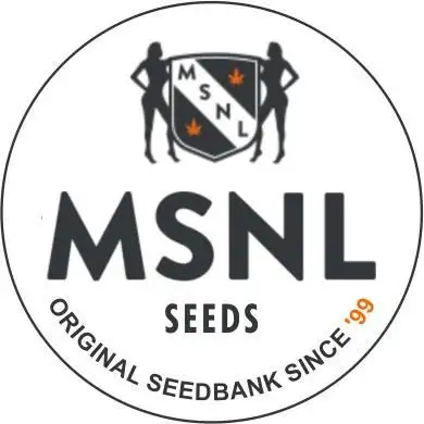 The Garden 2026-1 -- MSNL Kush Mints