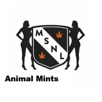 The Garden 2026-1 -- MSNL Animal Mints