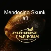 The Garden 2027-1 - Mendocino Skunk #3