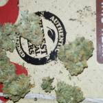 Zkittlez blaze the rainbow