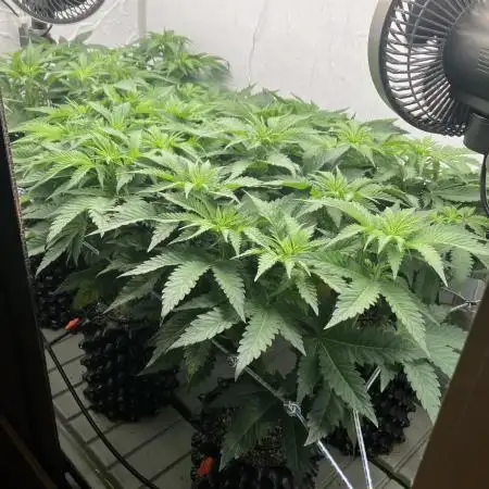 Power Plant
