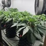 Power Plant