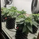Power Plant