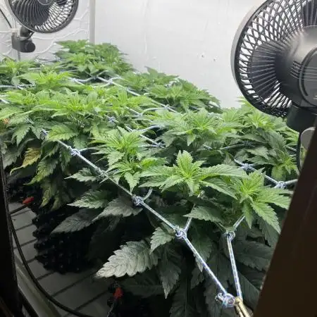 Power Plant