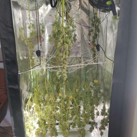 Moon Farms
