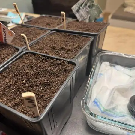 Homegrow