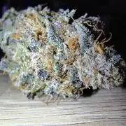 24K GOLD DNA GENETICS LIVING SOIL