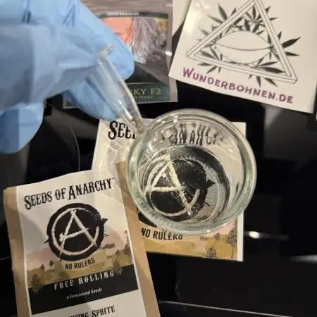 Seeds of Anarchy - Dancing Sprite