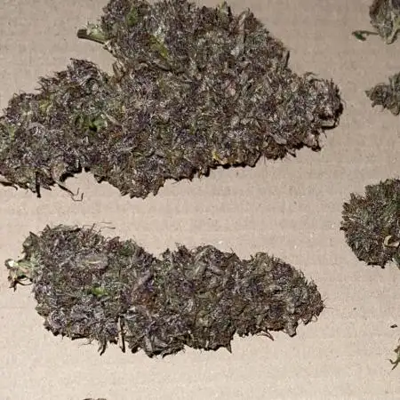 Purple Lemonade (FastBuds)