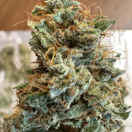 Lemon haze auto