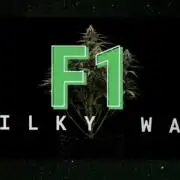 Milky Way F1#RQS