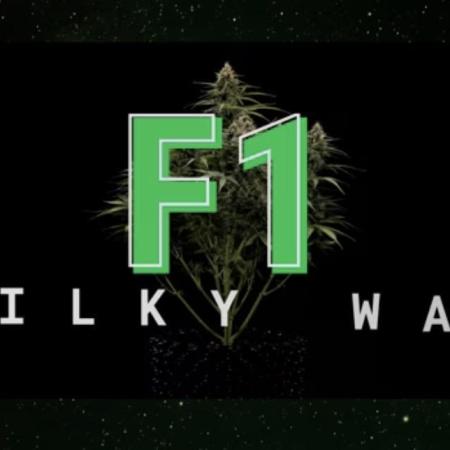 Milky Way F1#RQS