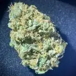 Gelato33 x Zkittels x BirthdayCake GZB