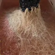 DWC Colorado