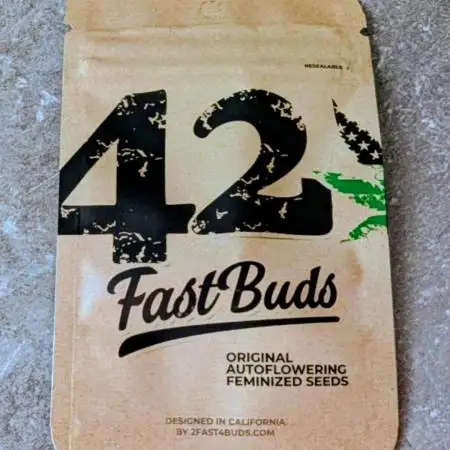 Skunk Auto Fast Buds Mini Grow
