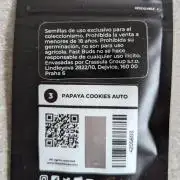 Papaya Cookies Auto Fast Buds