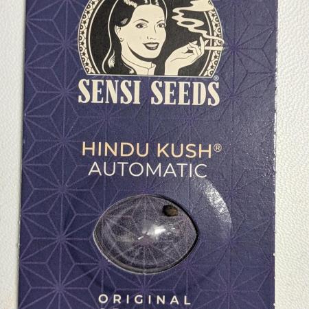 Hindu Kush Auto Sensi Seeds