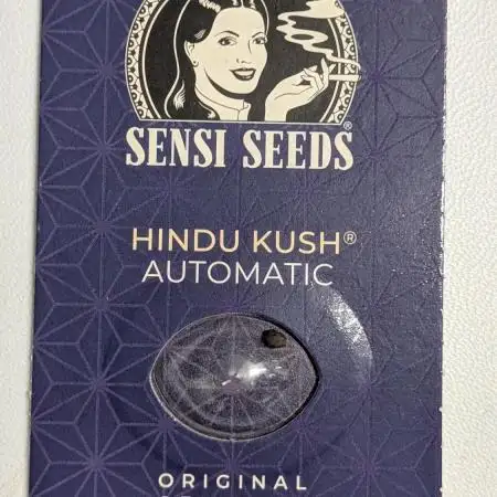 Hindu Kush Auto Sensi Seeds