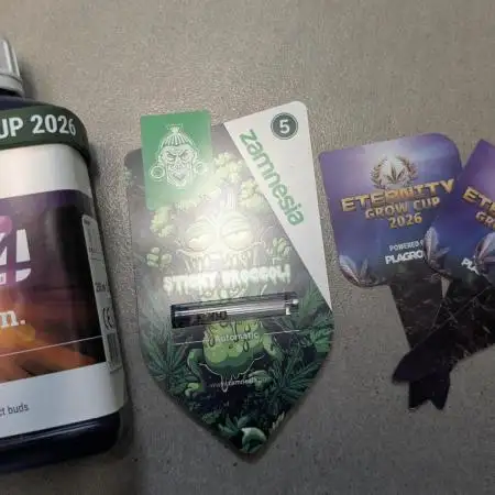 Eternity Grow Cup  Sticky Broccoli Auto