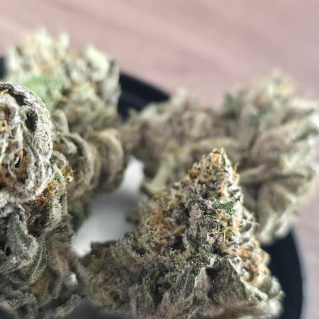 White Truffle 🍄‍ aka Candy Truffel