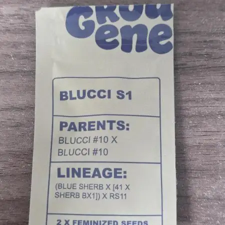 💜Blucci S1