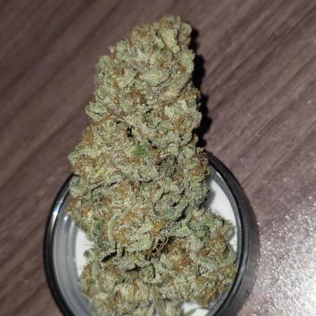 🍦🐰 Ice Cream Haze