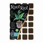 New Year Nirvana Grow
