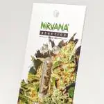 Auto Nirvana 2026!