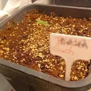 Black Cerry Gushers 🔥↙️🏀