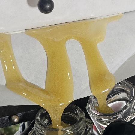 Astronaut Status #24