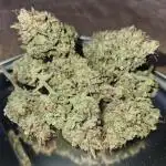Lemon Cherry Gelato Auto R3 #2 / Winter Basementgrow 12/12