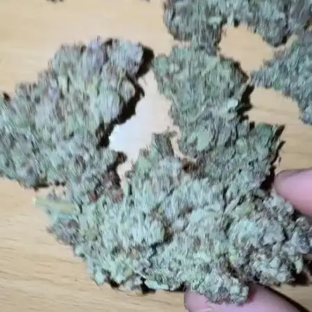 Gorilla Cookies Auto