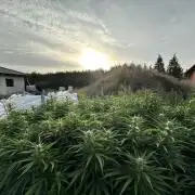 Outdoor 2026