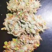 Gewinnspielseeds - Grow