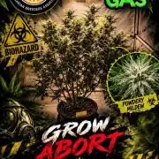 Gewinnspielseeds - Grow