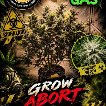 Gewinnspielseeds - Grow